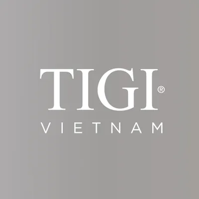 tigivietnam.com's icon