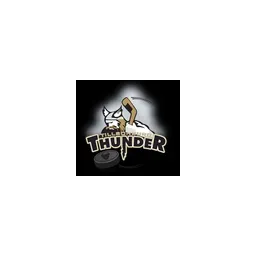 Tillsonburg Thunder's brand icon
