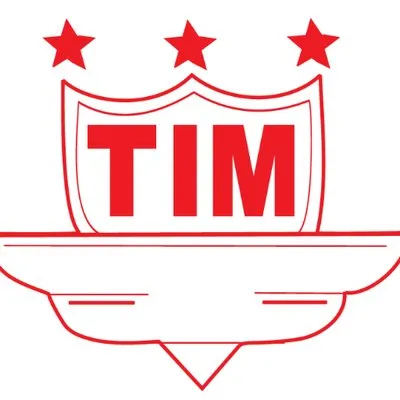 timindia.com's icon