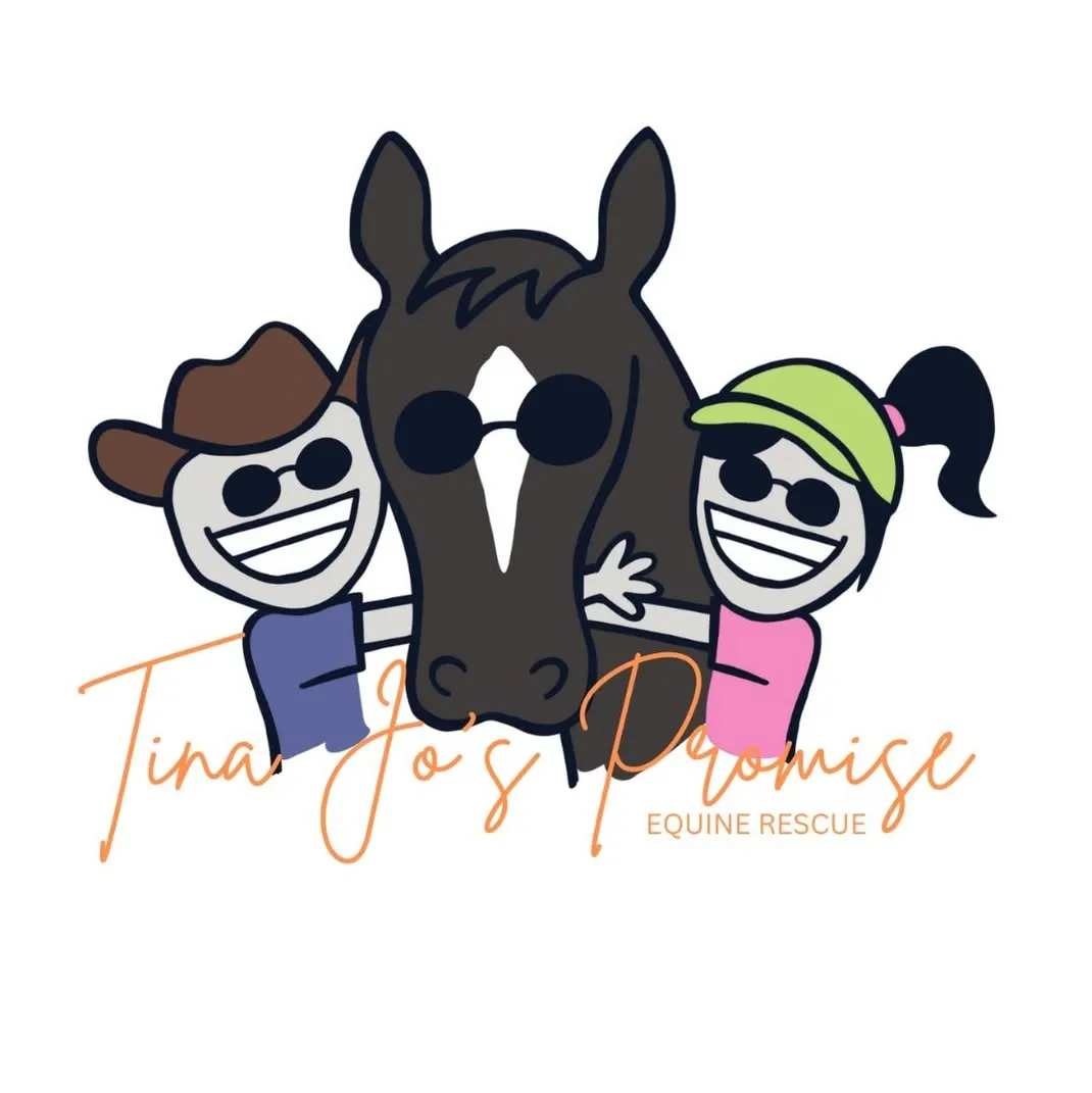Horse Sanctuary Tour Guide Opportunity Image