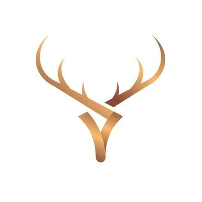 tineafrica.com's icon