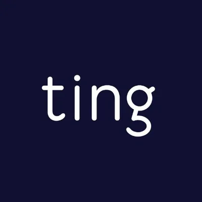 ting.no's icon