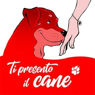 tipresentoilcane.com's icon