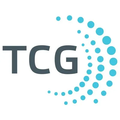tisconsulting.org's icon