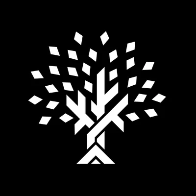 titaniumbirch.com's icon