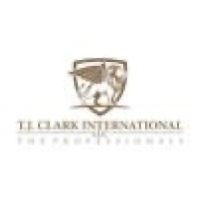 tjclarkintl.com's icon