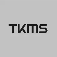 tkmsgroup.com's icon