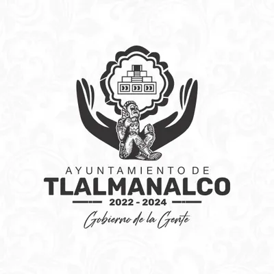 tlalmanalco.gob.mx's icon