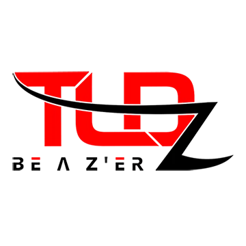 tldz.com's icon