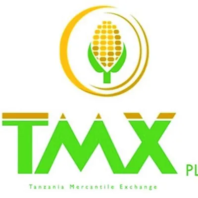tmx.co.tz's icon
