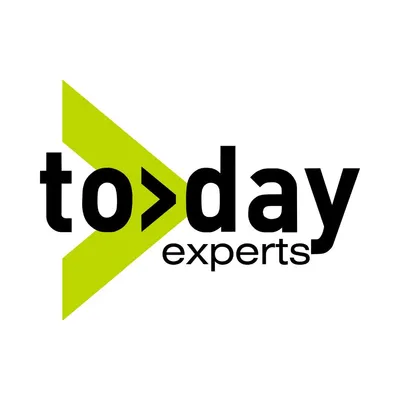 today-experts.com's icon