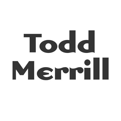 toddmerrillstudio.com's icon