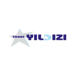 tokatyildizi.com.tr's icon