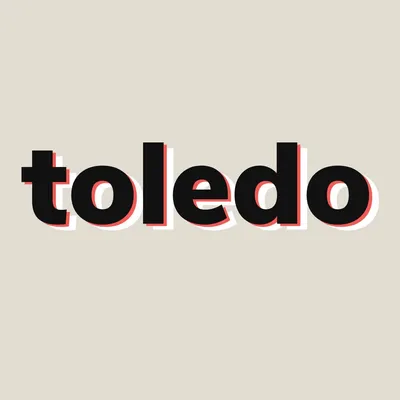 toledo.ro's icon
