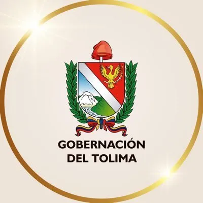 tolima.gov.co's icon