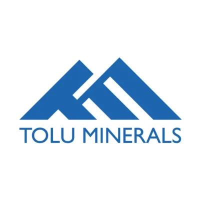 toluminerals.com's icon