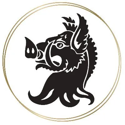 tomatin.com's icon
