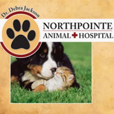 tomballveterinary.com's icon