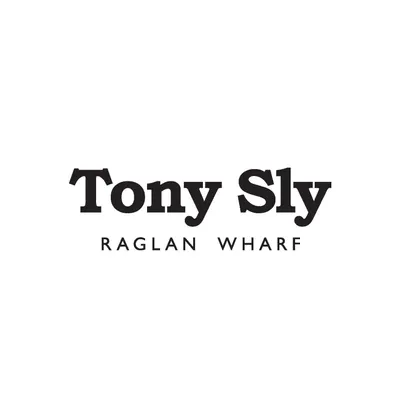 tonyslypottery.com's icon