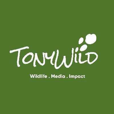 tonywild.co.ke's icon