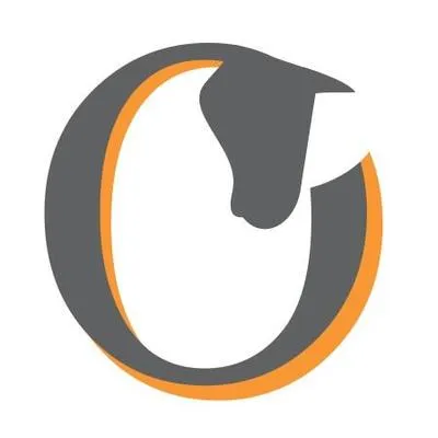 topfithorseshop.com's icon