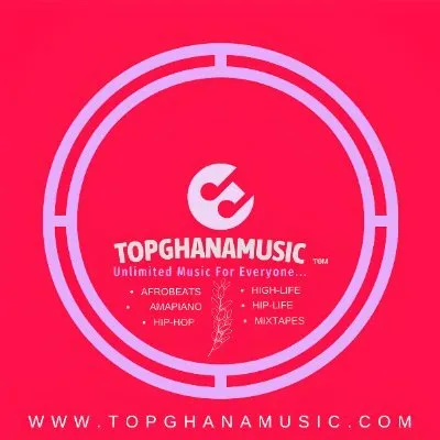 topghanamusic.com's icon