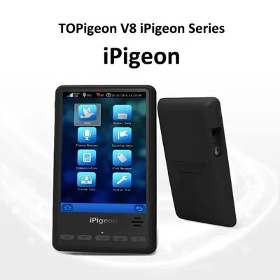 topigeon.com's icon