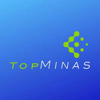 topminastransportes.com.br's icon