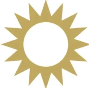 topofthefood.ch's icon