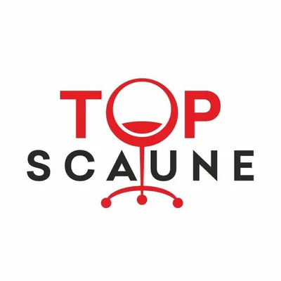 topscaune.ro's icon