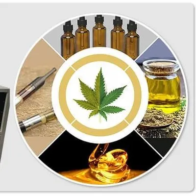 toptionlab.com's icon