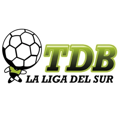 torneosdelbajo.com's icon