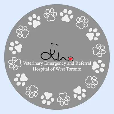 torontovetemergency.com's icon