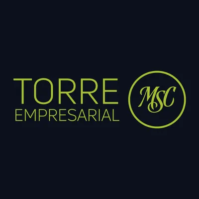 torreempresarialmsc.com.bo's icon