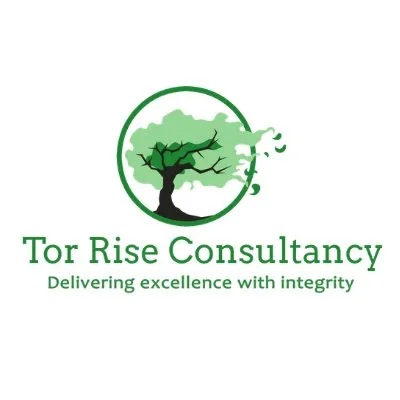 torriseconsultancy.com's icon