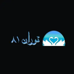 torrrr.site's brand icon