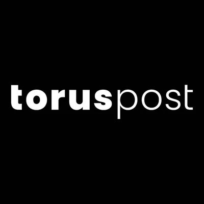 toruspost.de's icon