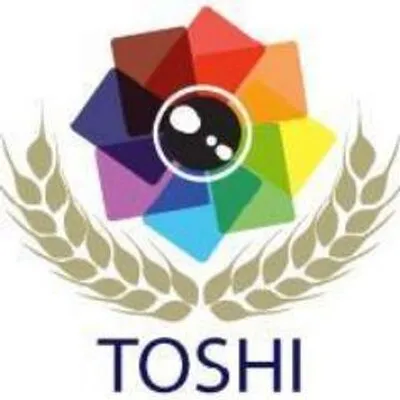 toshiembalaje.com's icon