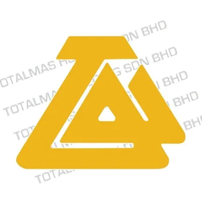 totalmas.com's icon