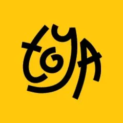 Toya Play Logo & Brand Assets (SVG, PNG and vector) - Brandfetch