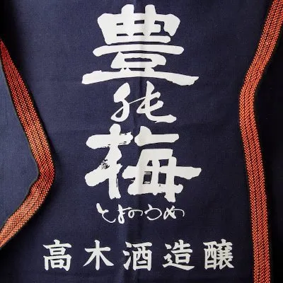 toyonoume.com's icon