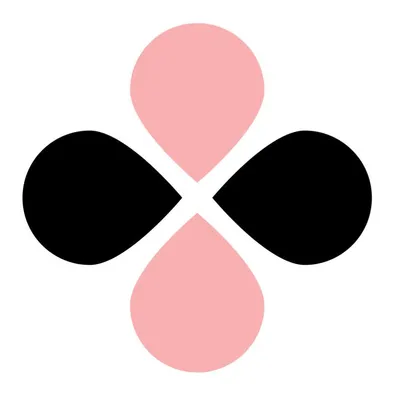 traffic-chic.com's icon