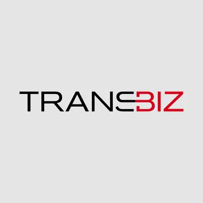 transbiz.com.tw's icon
