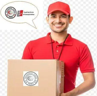 transerviscargosac.com's icon
