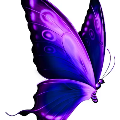 transformationalawareness.co's icon