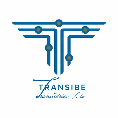 transibe.com's icon
