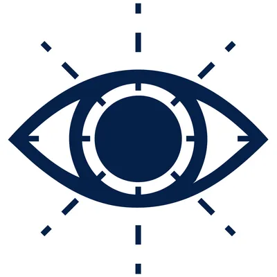 transly.eu's icon