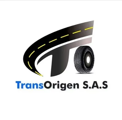 transorigen.com's icon