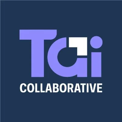 transparency-initiative.org's icon