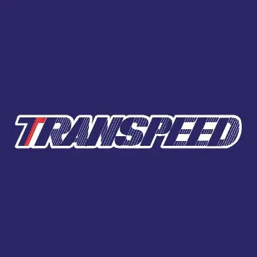 transpeed.biz's icon